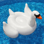 Swan Pool Floats