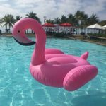 Swan Pool Floats