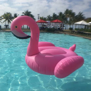 Swan Pool Floats